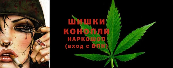 2c-b Богородицк